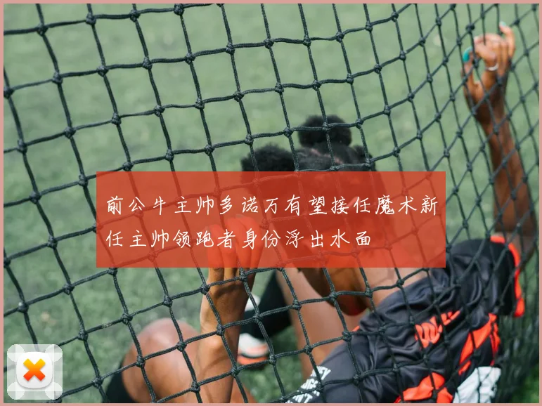 前公牛主帅多诺万有望接任魔术新任主帅领跑者身份浮出水面